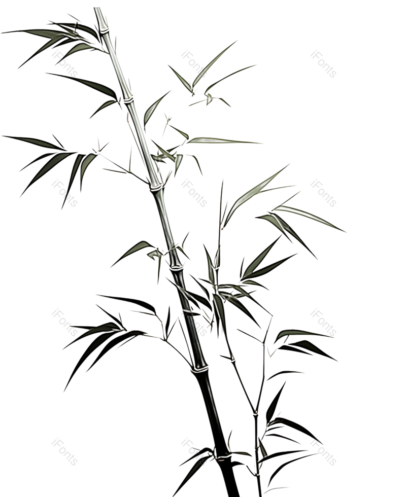 叶子图片,元素元素,插画PNG,竹子免抠素材